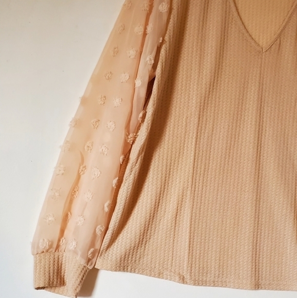 Cream Soft Dressy Blouse‎ Top Sheer Sleeves Women Size 2XL NWOT - Picture 4 of 9